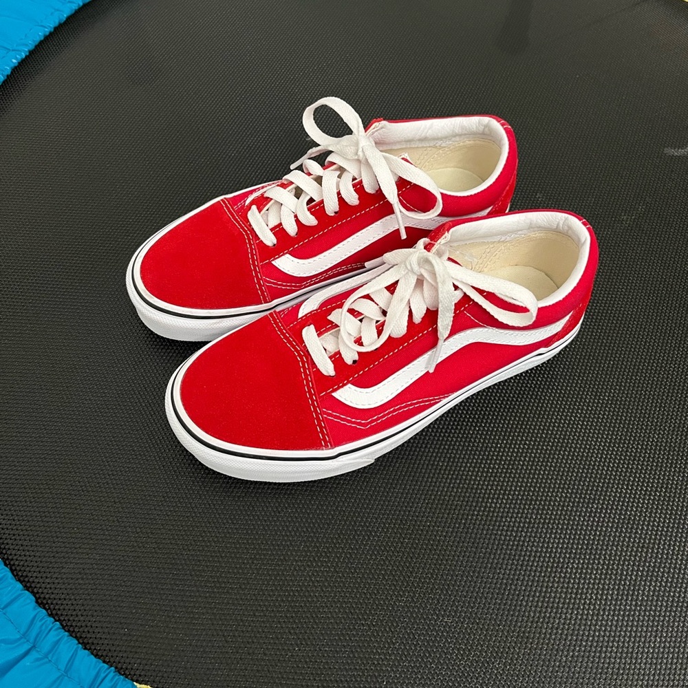 Vans Old Skool Shoe